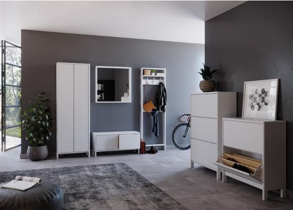 Шкаф в прихожую Liva