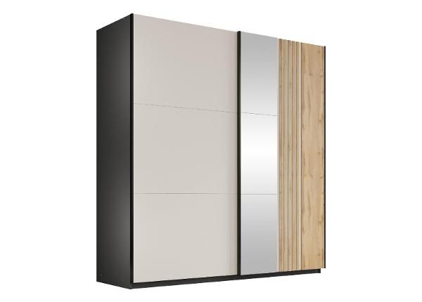 Шкаф-купе Evora 203 см