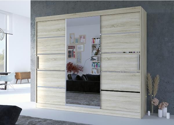 Шкаф-купе Sania 250 cm