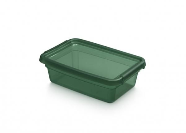 Ящик для хранения BaseStore 3 л, 19x28xh9 см зеленый