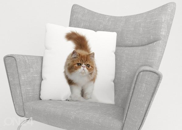Декоративная наволочка Fluffy Cat 40x60 cm