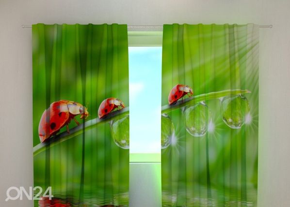 Просвечивающая штора Ladybirds 240x220 cm