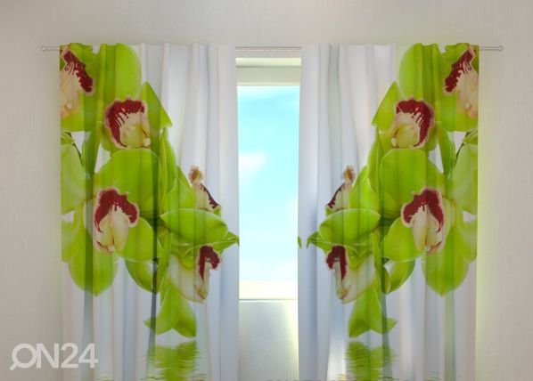 Затемняющая штора Lime coloured orchid 240x220 см