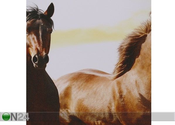 Картина из 5-частей Horse & Sunset 160x60 cm