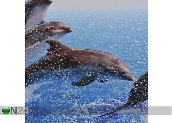 Картина из 5-частей Jumping Dolphins 160x60 cm