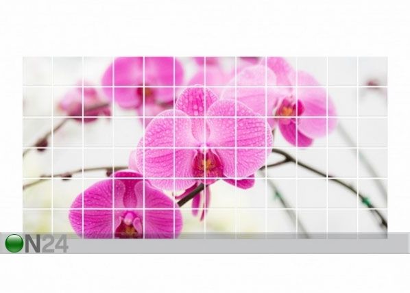 Наклейки на плитку Close-up of orchid 60x120 cm
