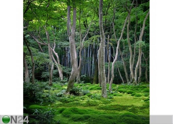 Флизелиновые фотообои Japanese Forest
