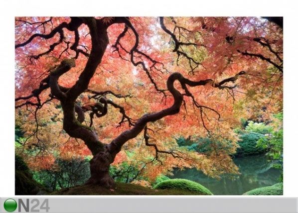 Флизелиновые фотообои Japanese garden 1