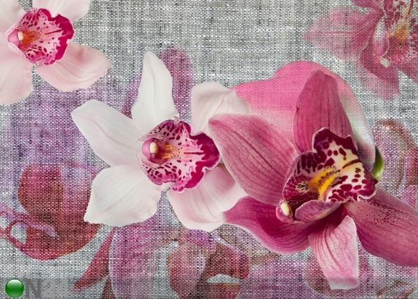 Флизелиновые фотообои Pink orchids 360x270 см