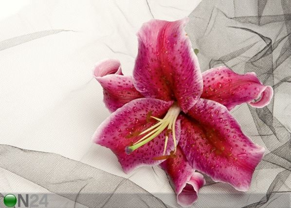 Флизелиновые фотообои Red orchid 360x270 см