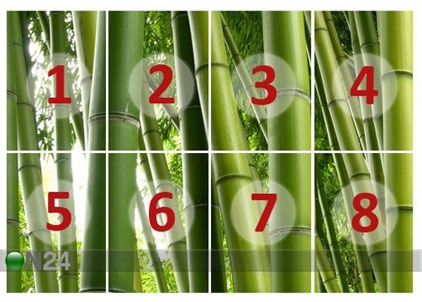 Фотообои Paradise of Bamboo 400x280 cm