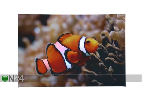 LED картина Clown Fish 60x40 cm, лампочки меняют цвет