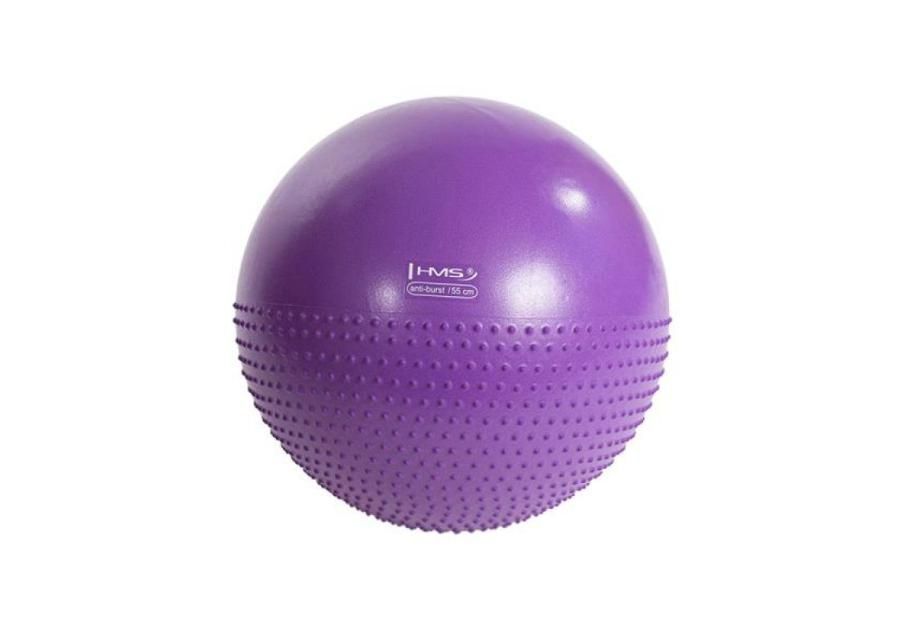 Гимнастический мяч / массажный мяч HMS YB03 55см фиолетовый увеличить