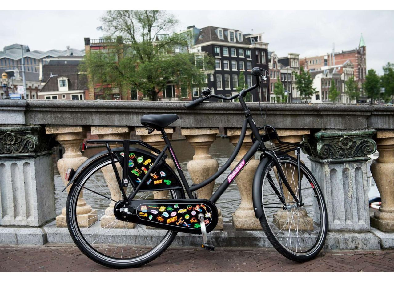 Женский городской велосипед SALUTONI Badges 28 дюймов 56 см Shimano Nexus 3 передачи увеличить