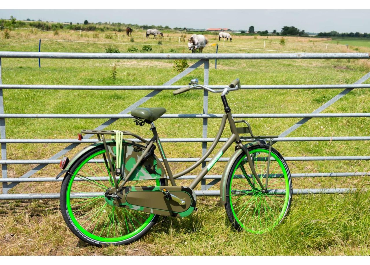 Женский городской велосипед SALUTONI Camouflage 28 дюймов 50 см увеличить