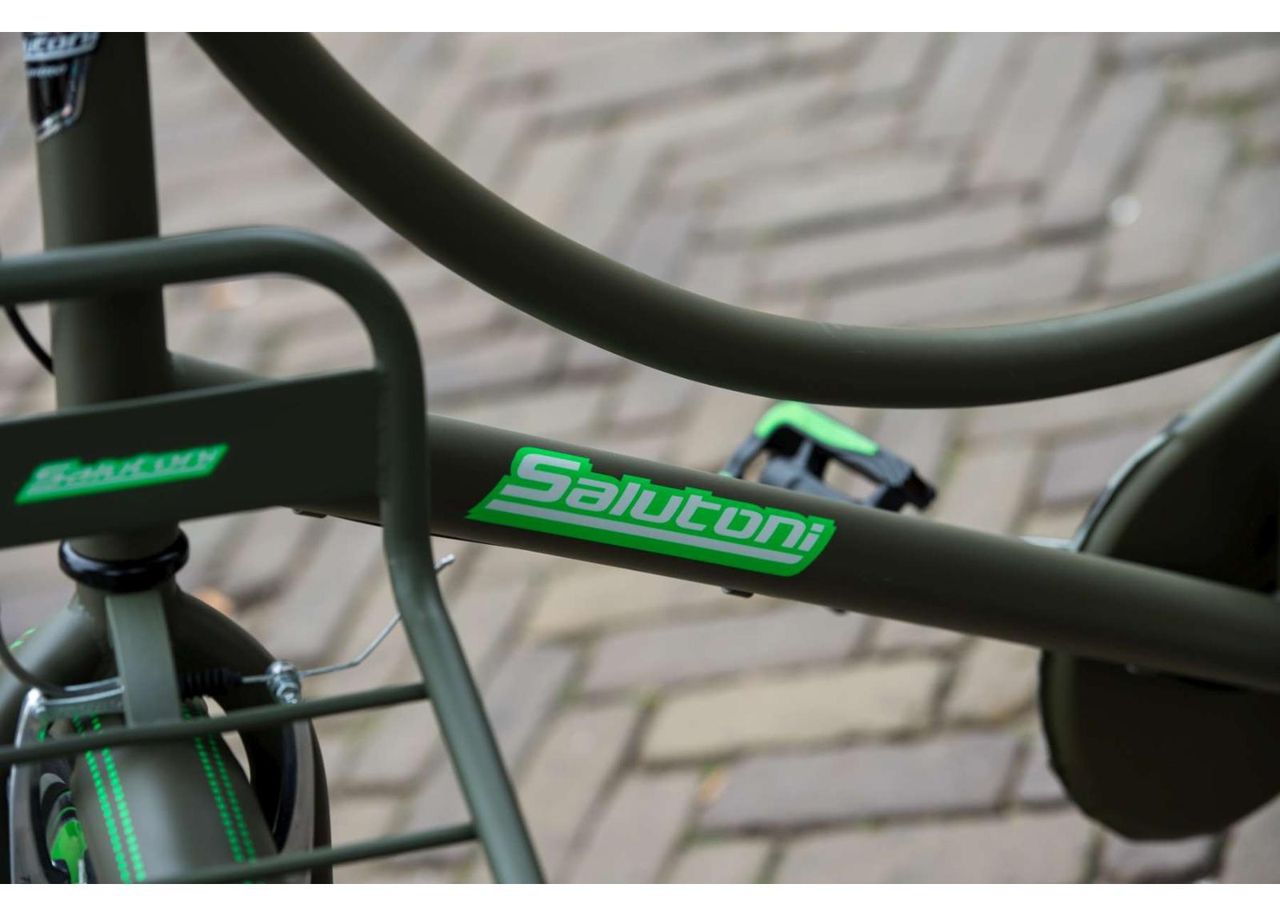 Женский городской велосипед SALUTONI Camouflage 28 дюймов 56 см Shimano Nexus 3 передачи увеличить