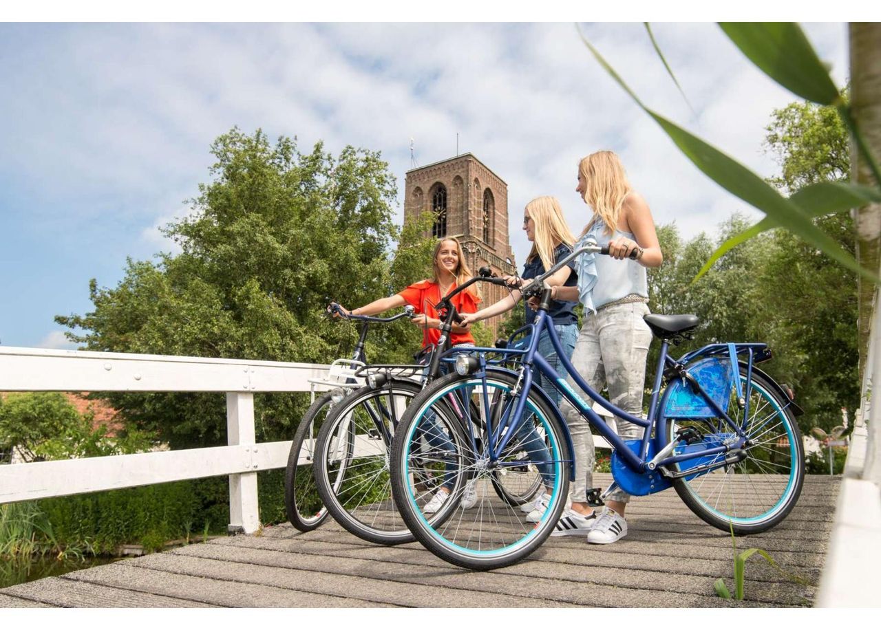 Женский городской велосипед SALUTONI Dutch 28 дюймов увеличить
