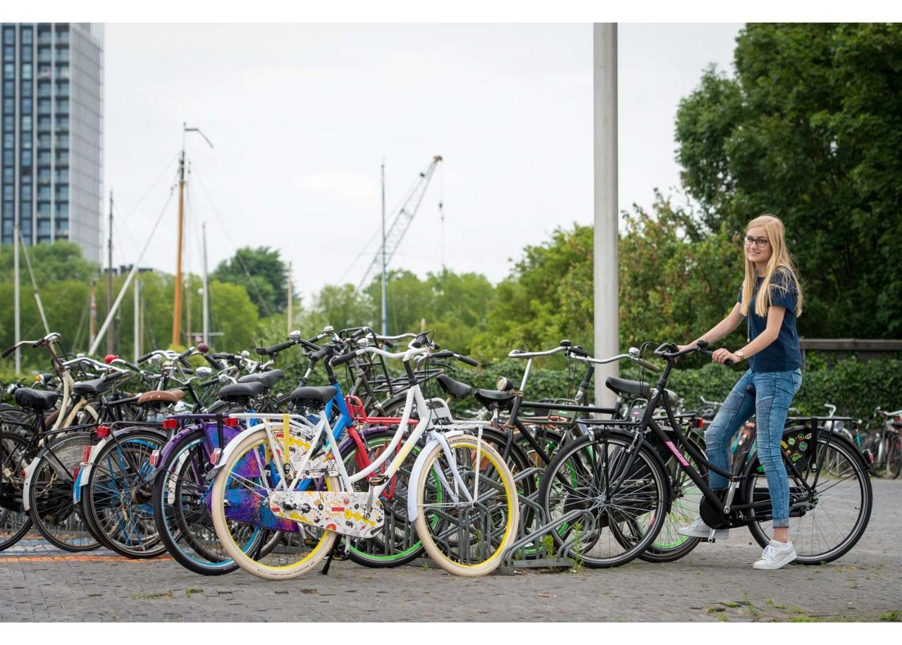 Женский городской велосипед SALUTONI Dutch oma bicycle Glamour 28 дюйма 50 см увеличить
