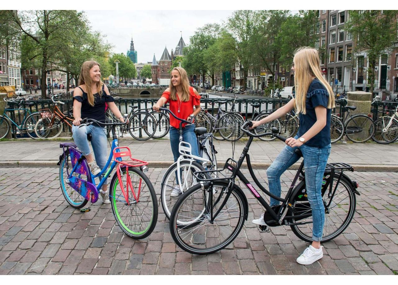 Женский городской велосипед SALUTONI Hurrachi 28 дюйма 50 см Shimano Nexus 3 передачи увеличить