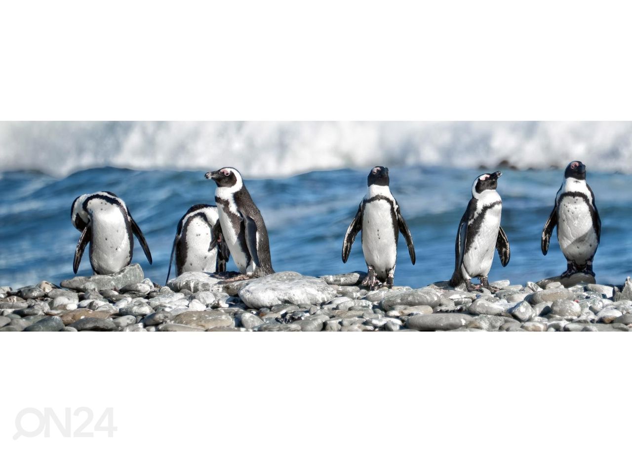 Кухонный фартук Row of penguins 180x60 см увеличить