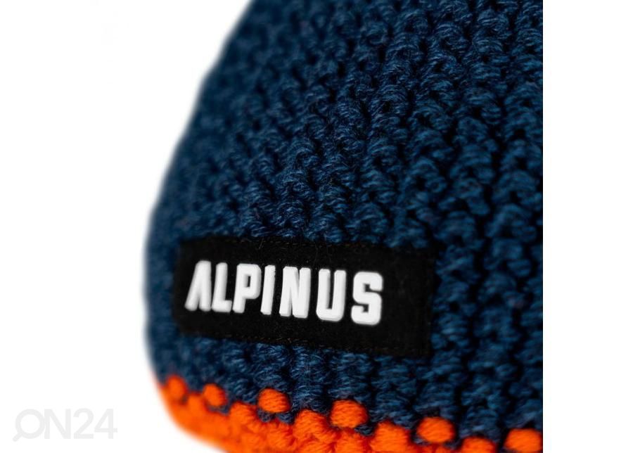 Мужская зимняя шапка Alpinus Mutenia увеличить