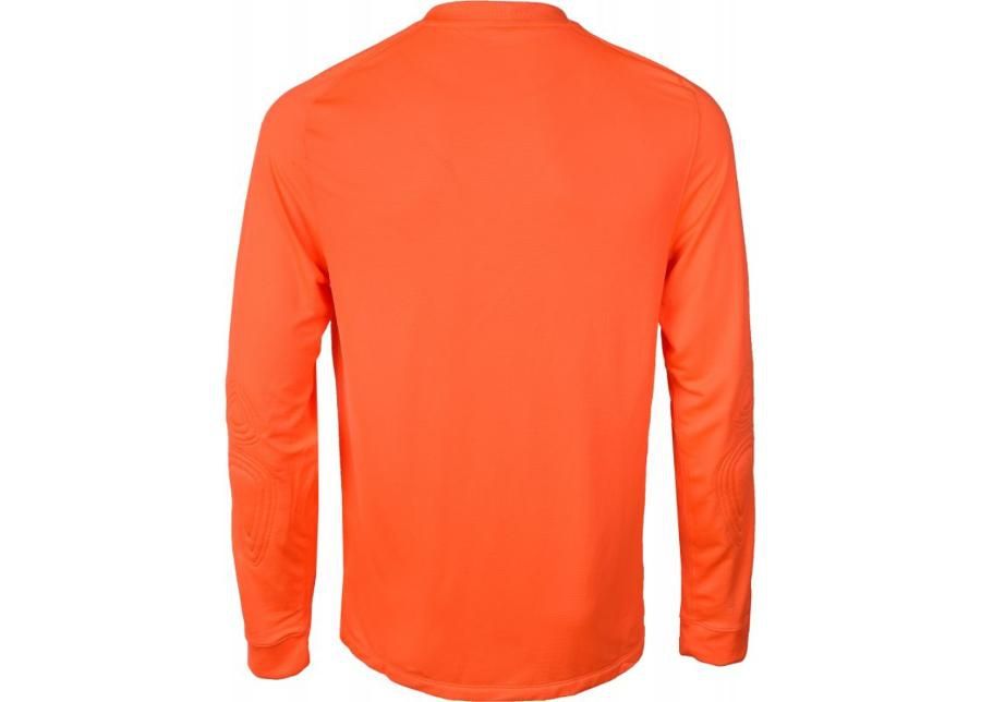 мужская Мужская вратарская рубашка Nike PARK GOALIE II LS M 588418-803 увеличить