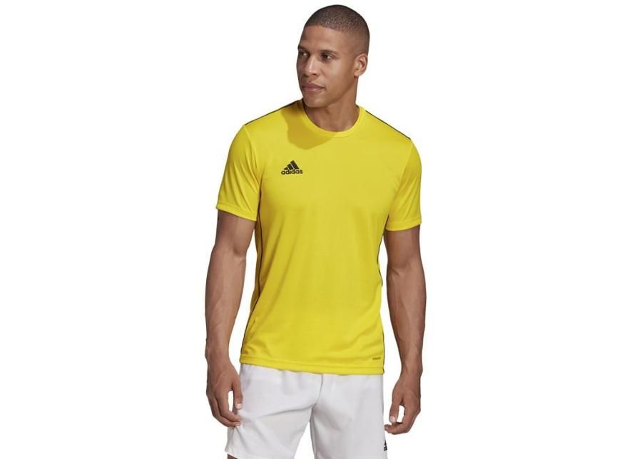Мужская футболка Adidas Polo Core 18 M FS1905 увеличить