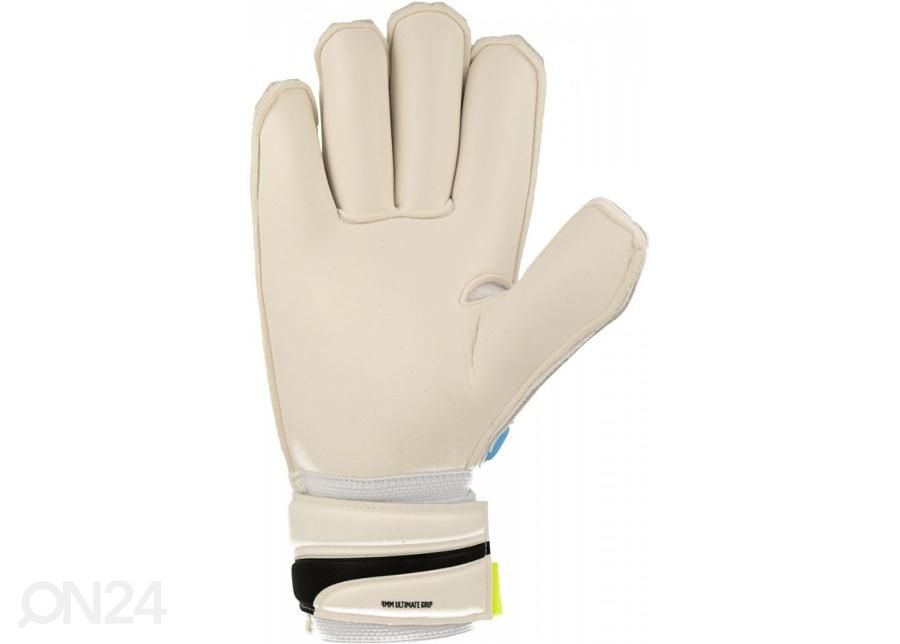 Мужские вратарские перчатки Puma evoPOWER Grip 2.3 GC 04122301 увеличить