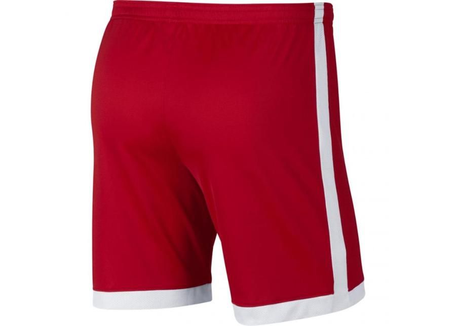 Мужские футбольные шорты Nike Dry Academy M AJ9994-657 увеличить
