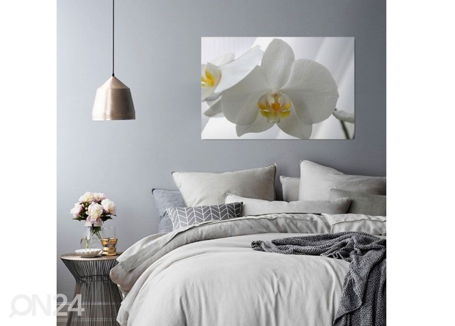 Настенная картина White orchids 30x40 см увеличить