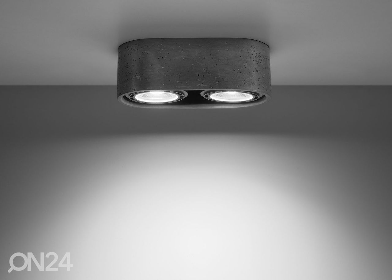 Потолочный светильник Basic 2, серый увеличить