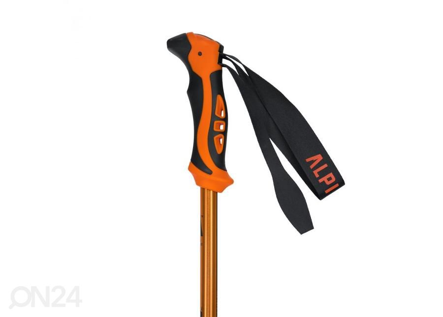 Трекинговые палки Alpinus Monte Rosa NX43599 увеличить