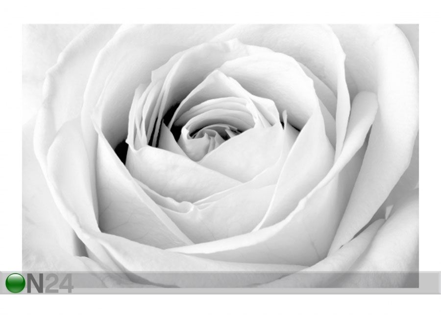 Флизелиновые фотообои Close Up Rose увеличить
