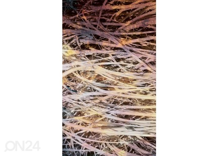 Флизелиновые фотообои Hay Abstract I 150x250 см увеличить