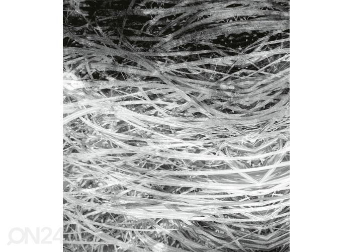 Флизелиновые фотообои Hay Abstract II 150x250 см увеличить