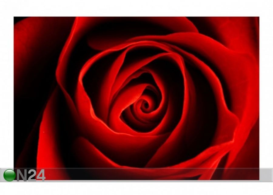 Флизелиновые фотообои Lovely Rose увеличить