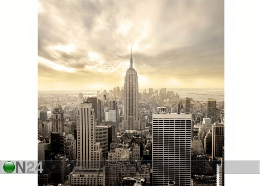 Флизелиновые фотообои Manhattan Dawn увеличить