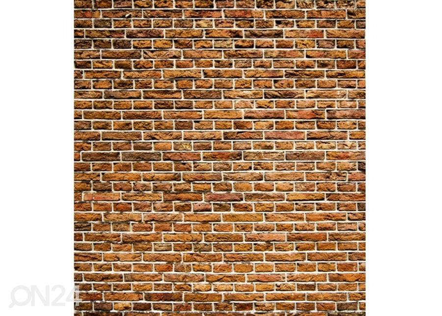 Флизелиновые фотообои Old brick 150x250 см увеличить