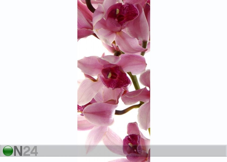Флизелиновые фотообои Orchids 90x202 см увеличить