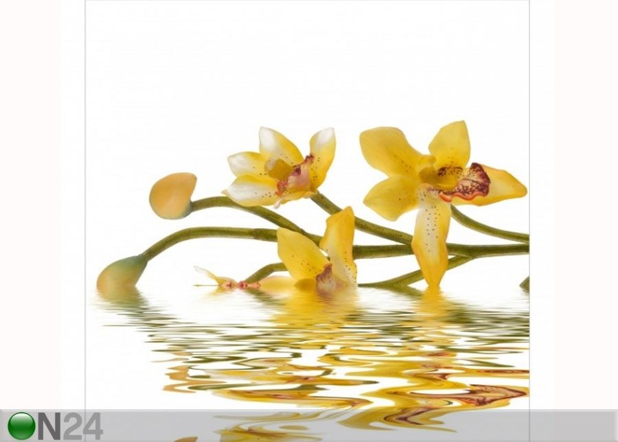 Флизелиновые фотообои Saffron Orchid Waters увеличить