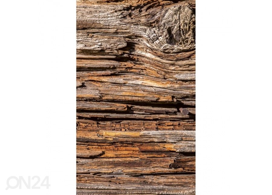Флизелиновые фотообои Tree bark 150x250 см увеличить