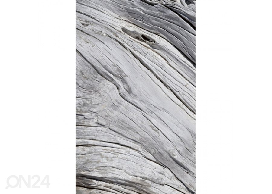Флизелиновые фотообои Tree texture 150x250 см увеличить