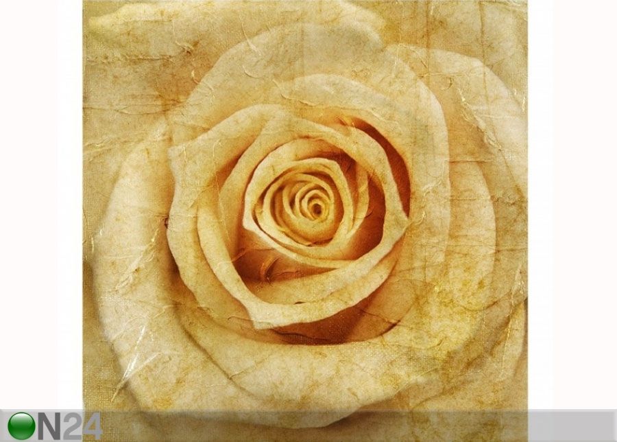 Флизелиновые фотообои Vintage Rose увеличить
