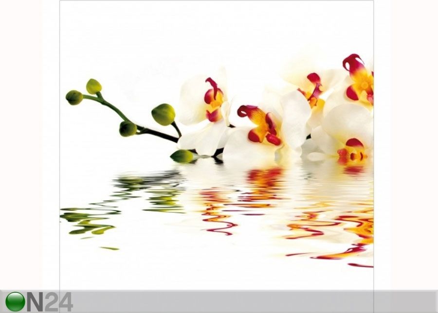 Флизелиновые фотообои Vivid Orchid Waters увеличить