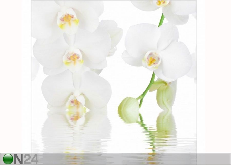 Флизелиновые фотообои Wellness orchid увеличить