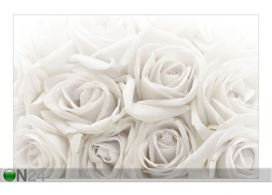 Флизелиновые фотообои White Roses увеличить