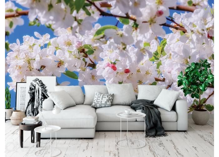 Флисовые фотообои Apple Tree Blossom 400x260 см увеличить