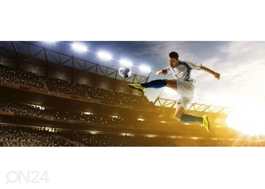 Флисовые фото-обои Soccer player 150x250 см увеличить