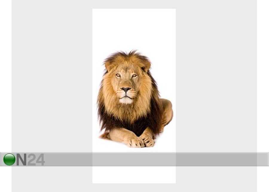 Фотообои The Lion King 100x210cm увеличить