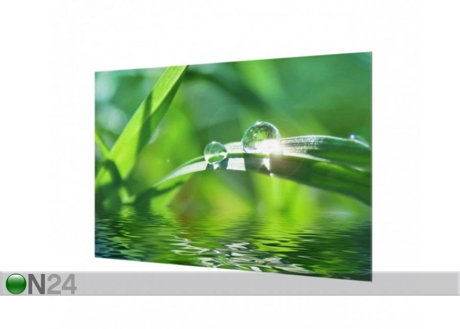 Фотостекло для кухонного фартука Green Ambiance II, 40x60 cm увеличить